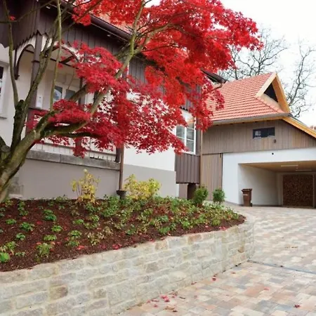 Rebenhaus Loft * Baden-Baden