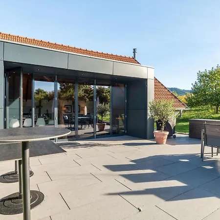 Rebenhaus Loft Baden-Baden